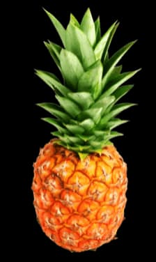 Pineapple Tours Logo