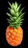 Pineapple Tours