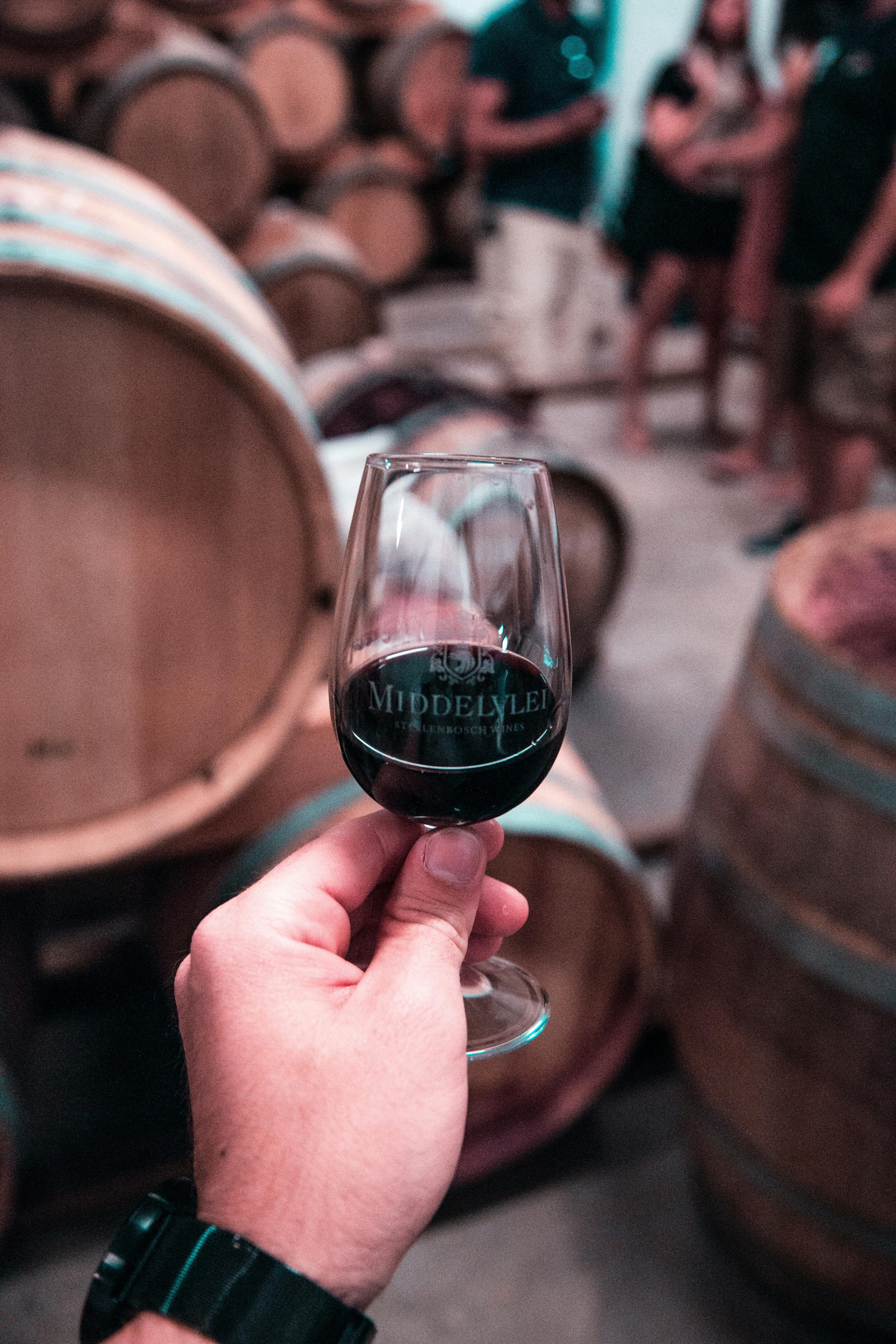 Premium Wine Tour Experience - Scenic vineyard with tasting setup