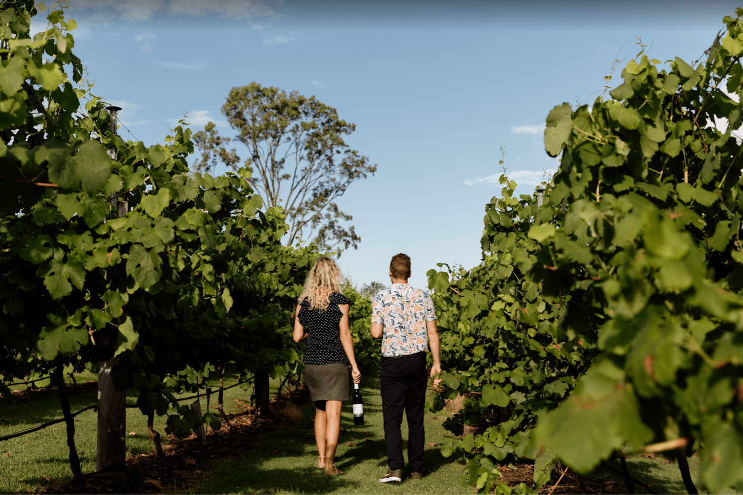 Premium tour features and highlights - Exclusive eco-tourism experience details