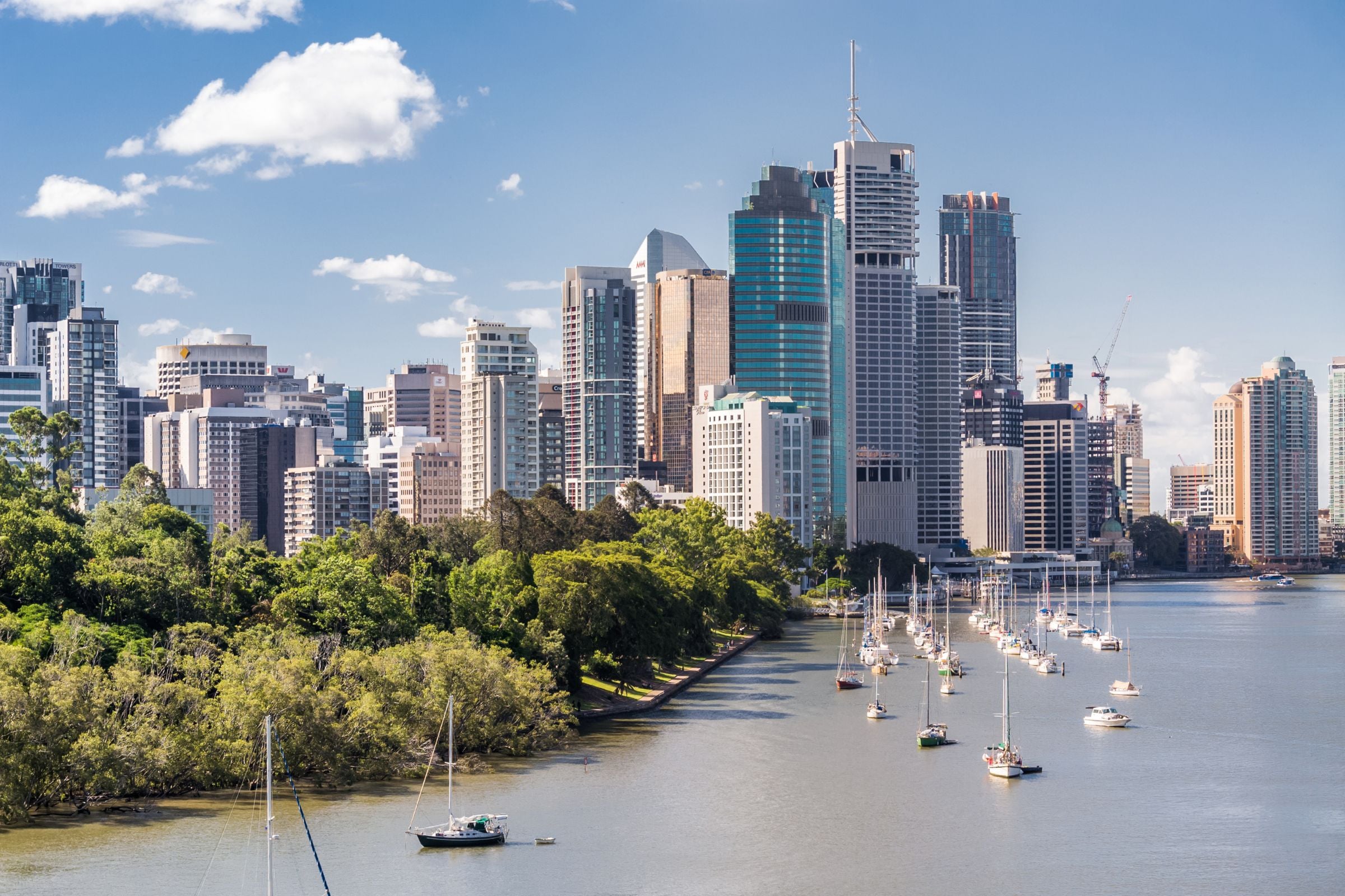 From Gold Coast - Springbrook background