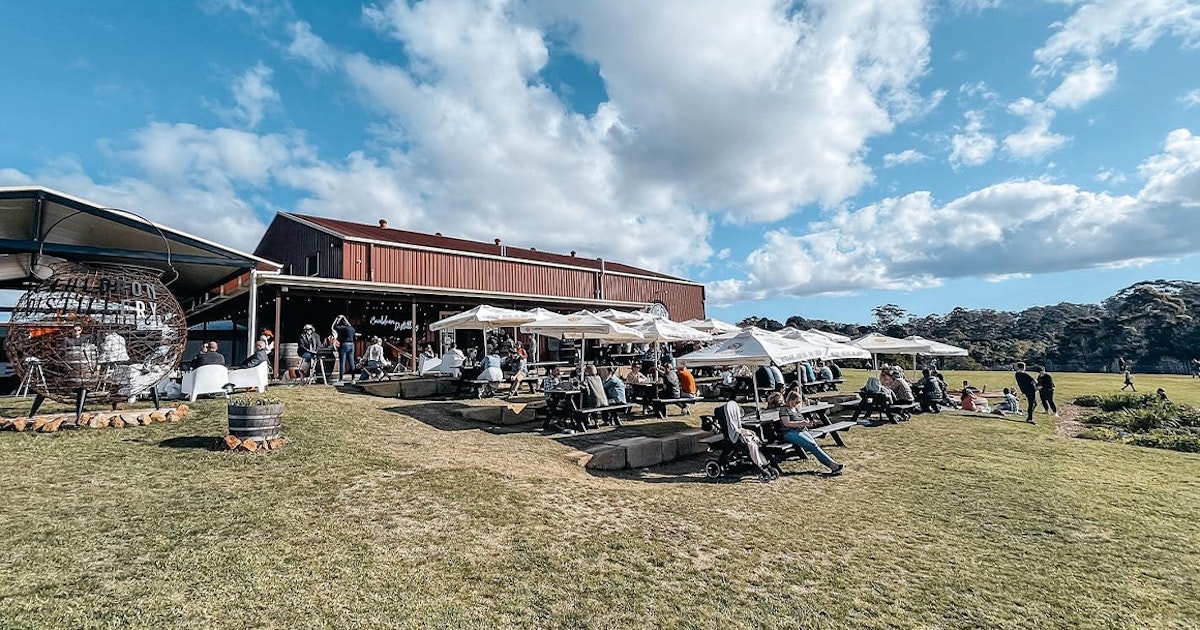 Wine Tours & Tastings